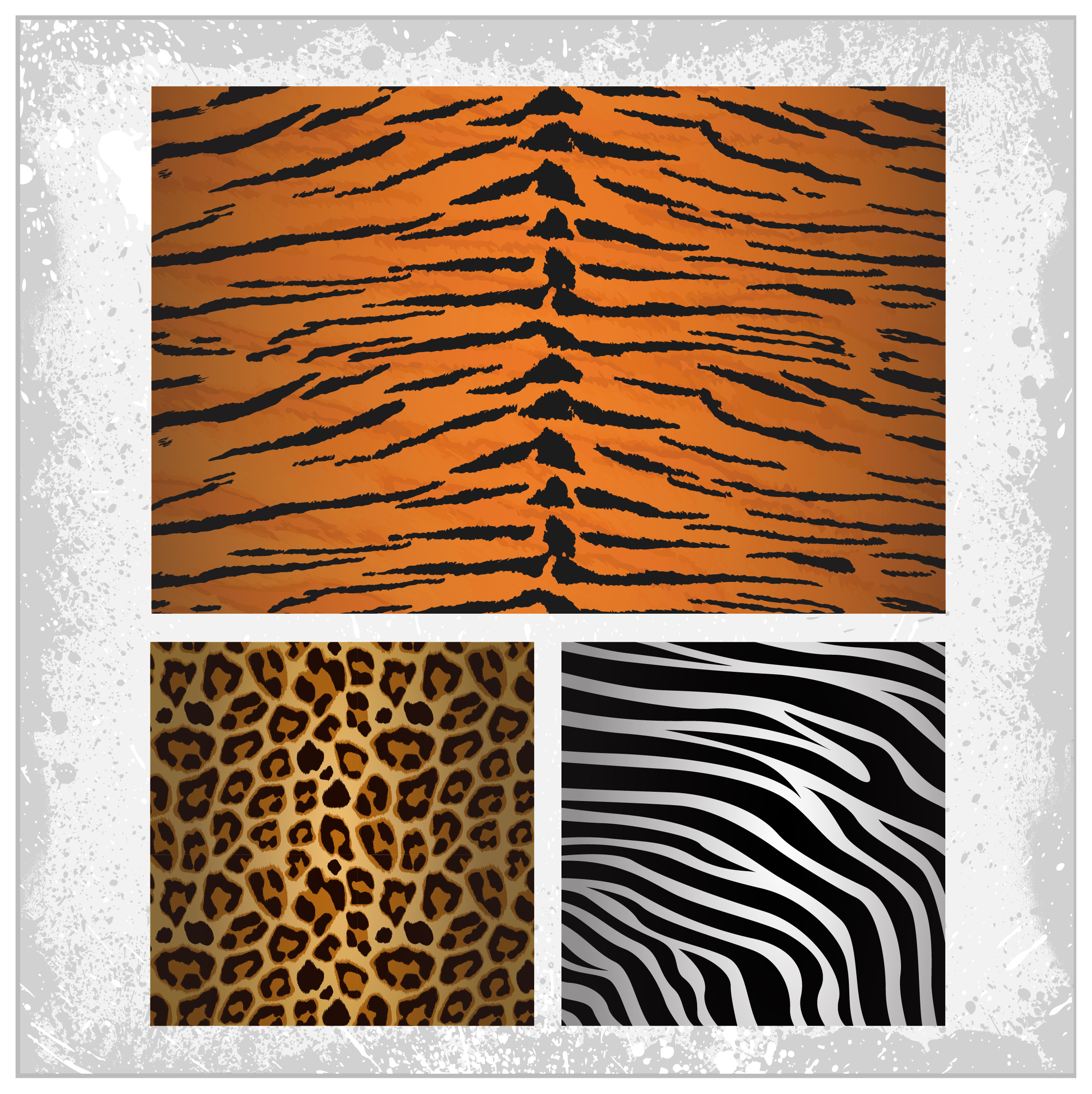 tiger zebra leopards skin pattern