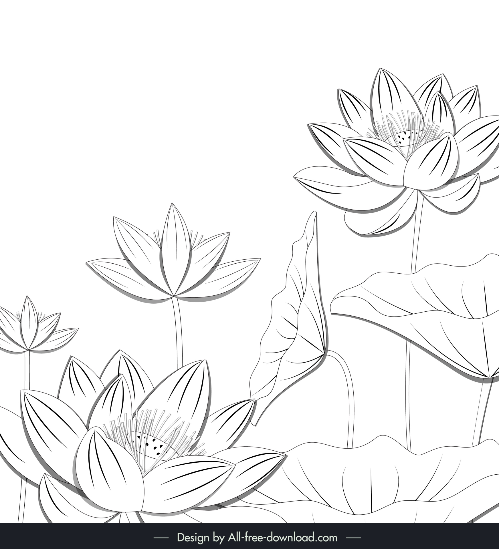 mid autumn design elements handdrawn lotus flowers outline