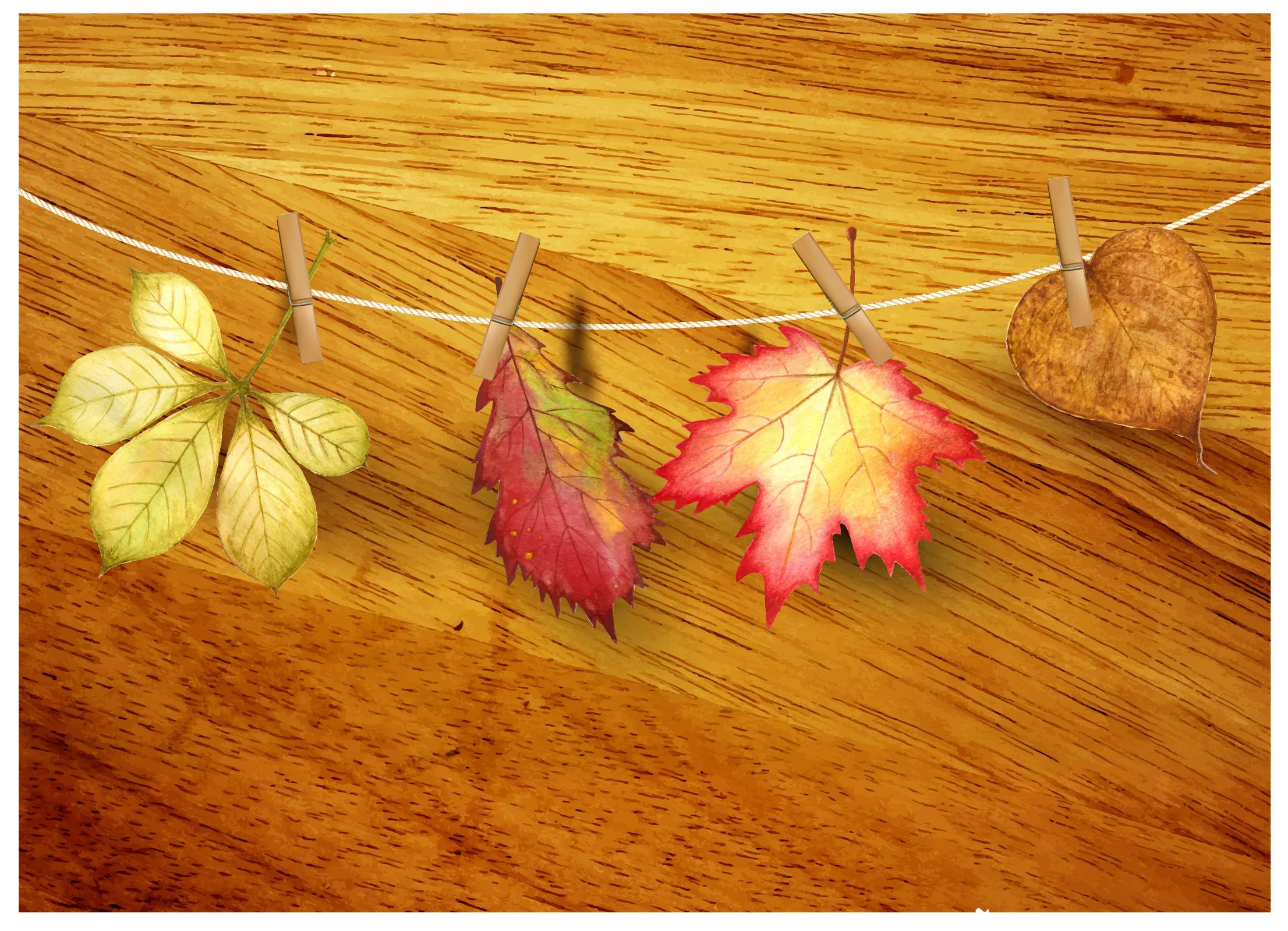 autumn leaf realistic on wooden background