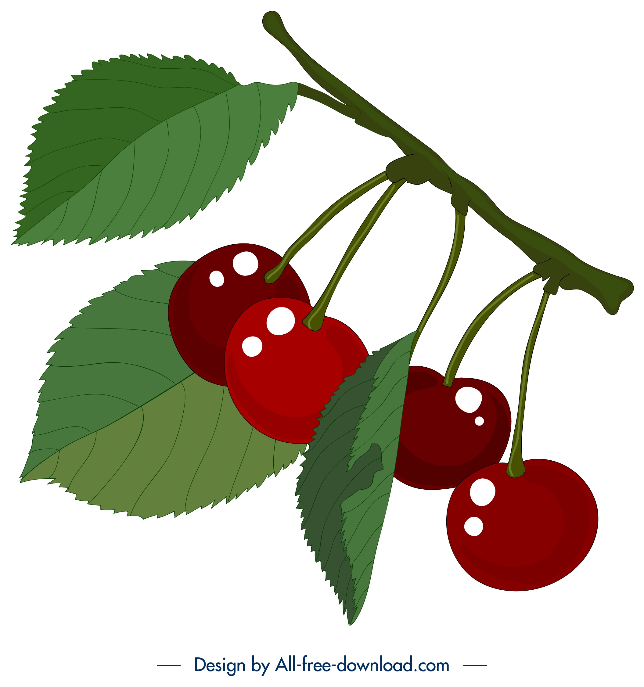 fresh cherry fruit painting shiny colored design